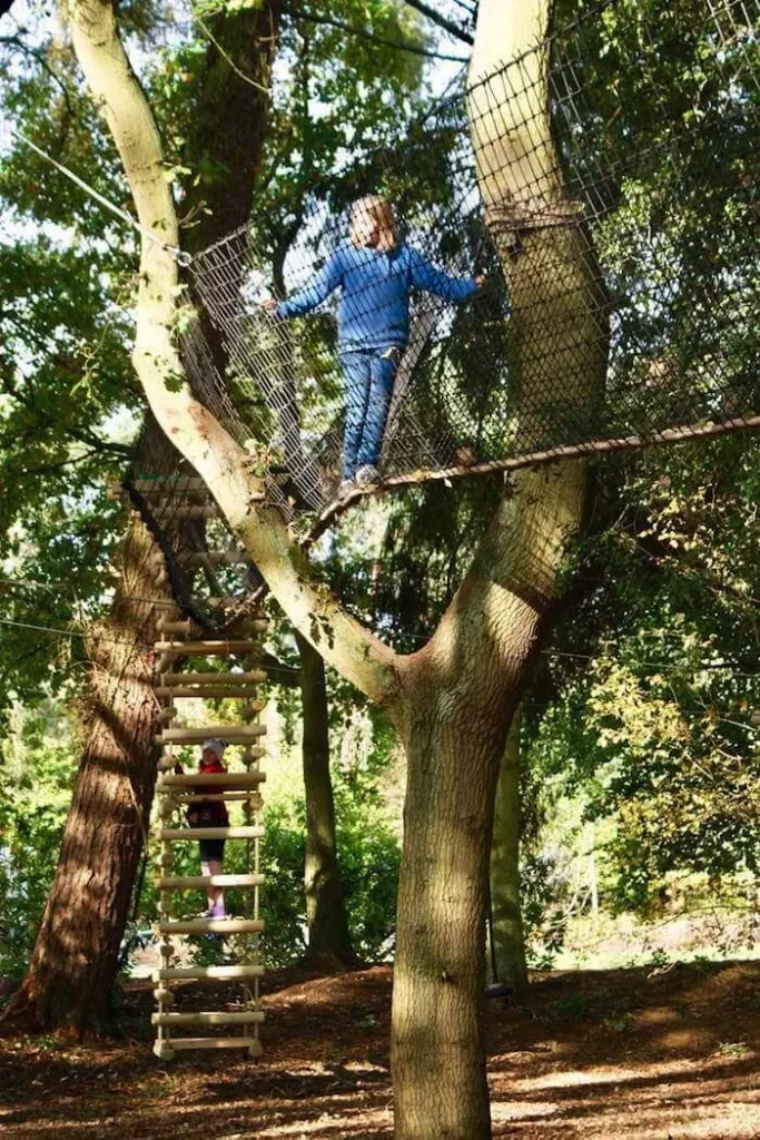 Kids Tree Climbing