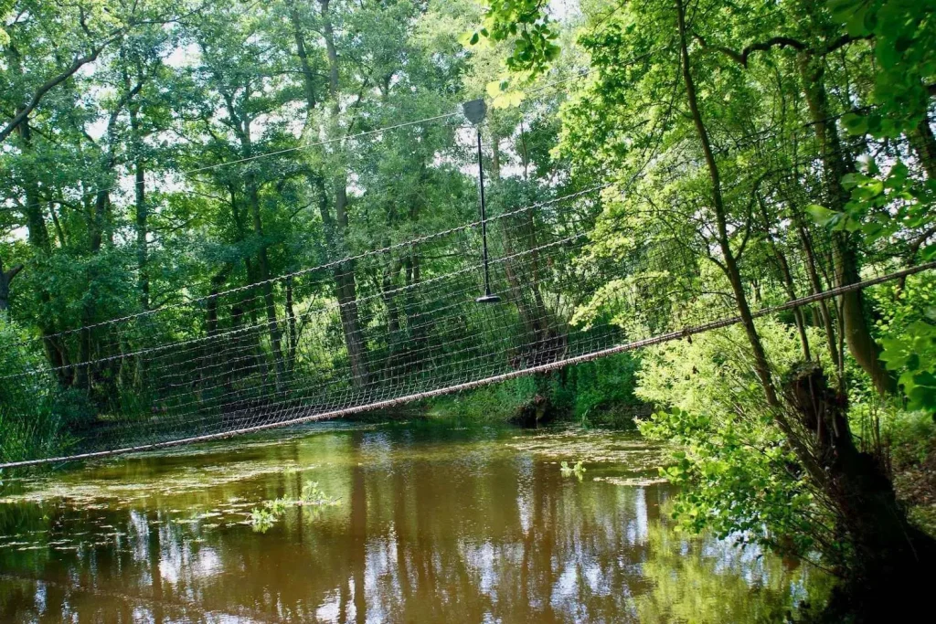 Treetop Trail across a lake as a net bridge underneath a Zip Wire line