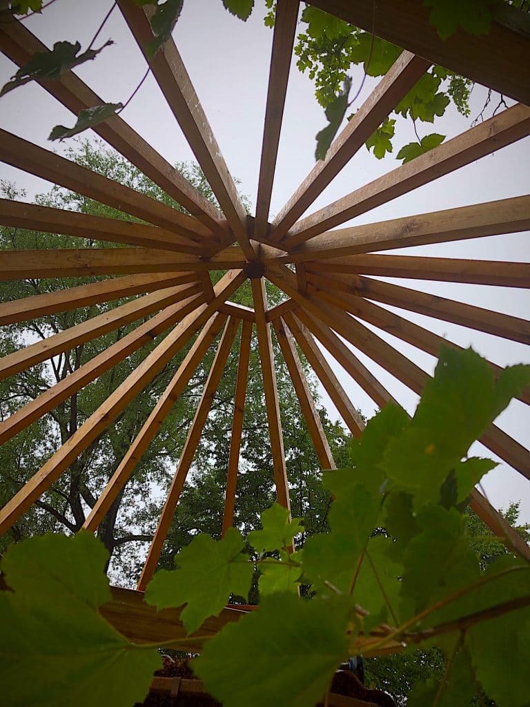 A partially built hexagonal shaped roof of a treehouse. The picture is taken from underneath the roof showing the light and sky coming through between the beams.