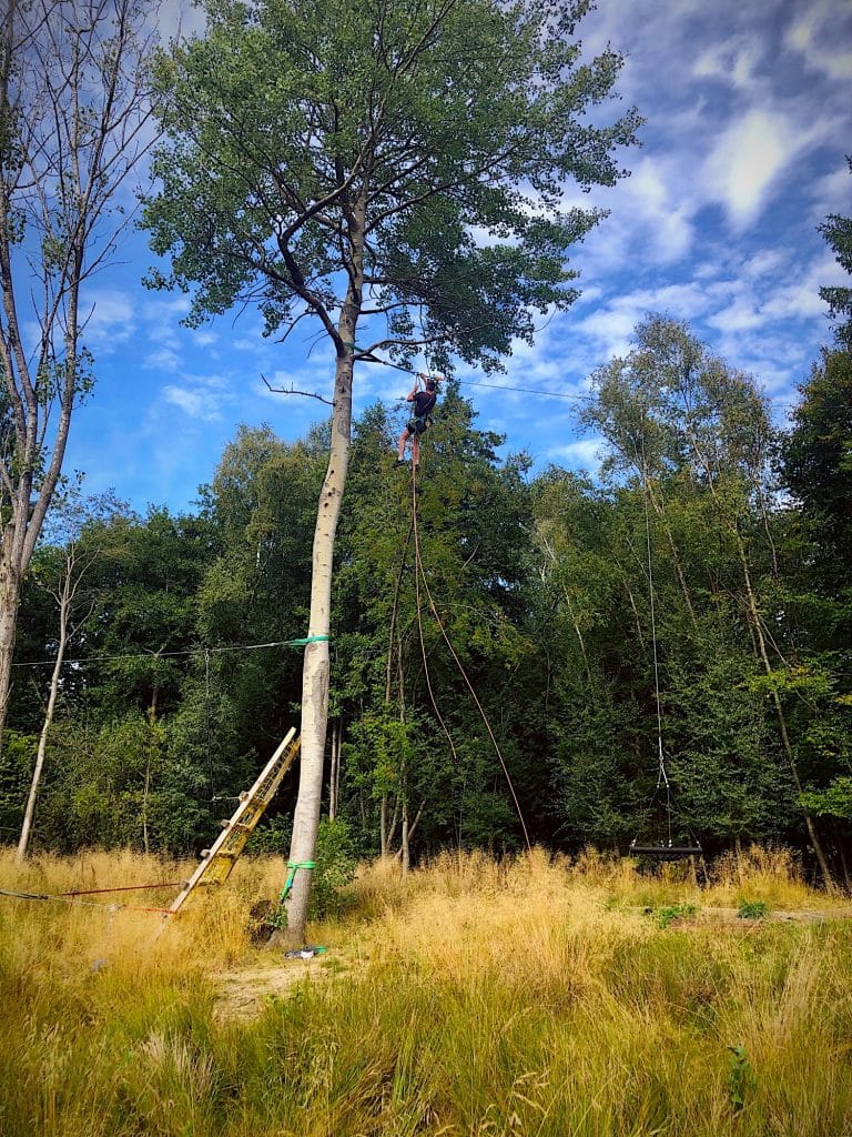 A man suspended high up in a birch tree while hoisting up a nest swing as part of a treetop aerial park design and build.