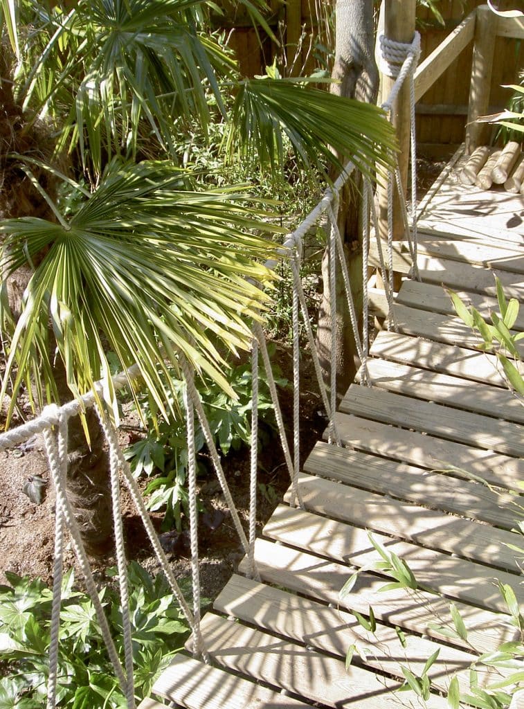 A small rope bridge leading to a family garden treehouse. The rope bridge is surrounded by green shrubs and a dracena palm tree's leaves overhang the centre of the rope bridge.