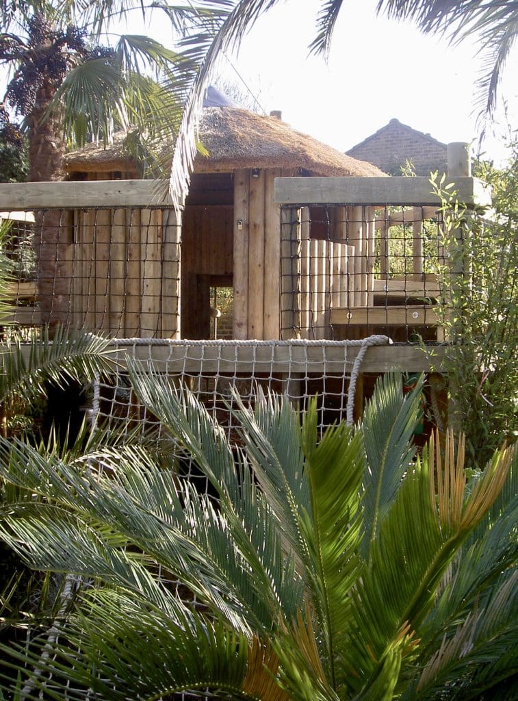 A beautifully landscaped garden treehouse framed by 4 garden palm trees. A scramble net leads up to the deck area on the treehouse.